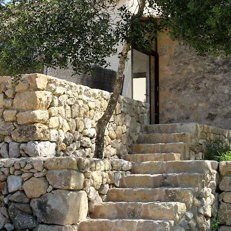 Vista